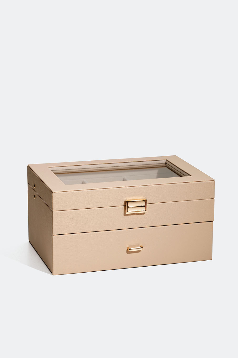 Suuri beige korurasia